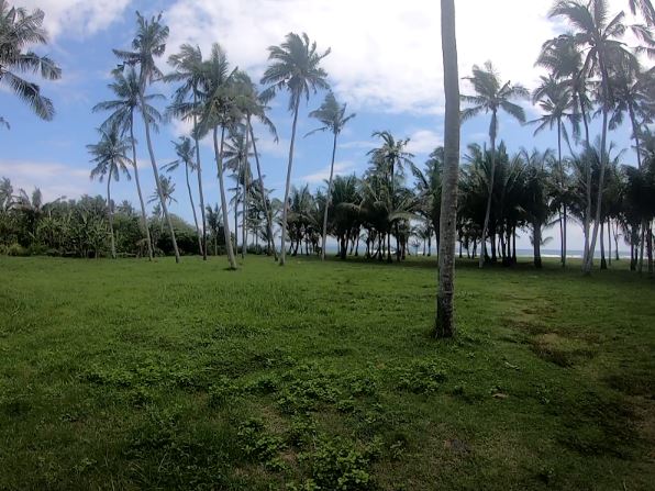 Cemagi Beachfront Land Freehold