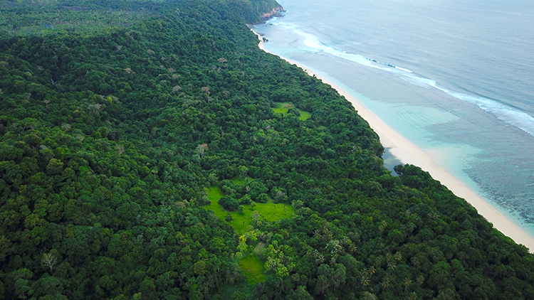 Beachfront land In Sumba