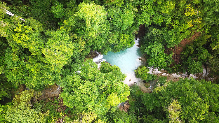 Beachfront land In Sumba