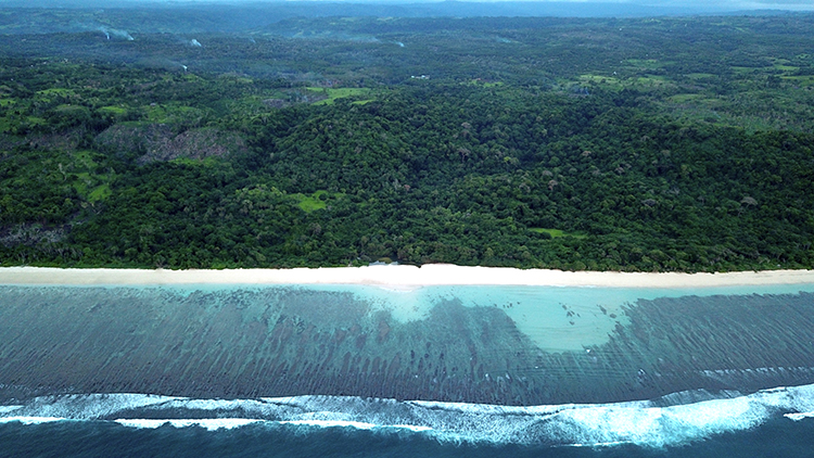 Beachfront land In Sumba