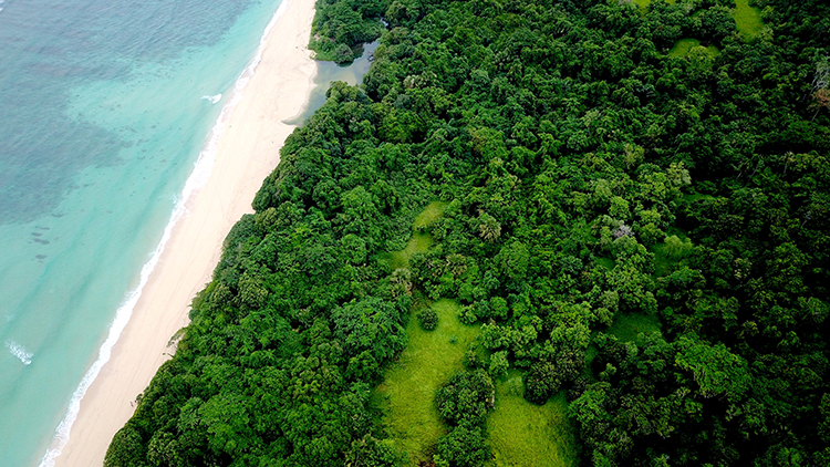 Beachfront land In Sumba