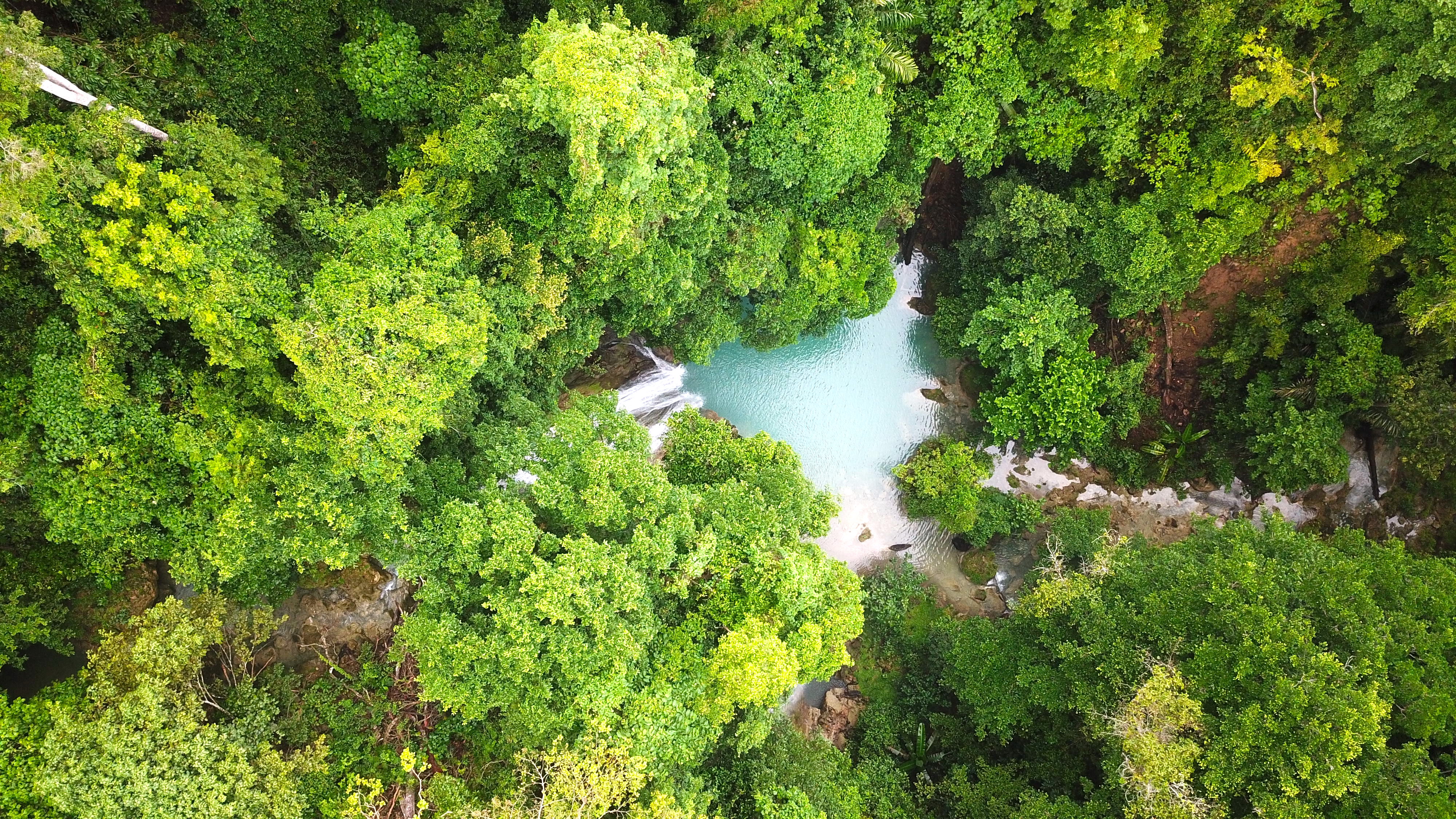 prime beachfront land in Sumba