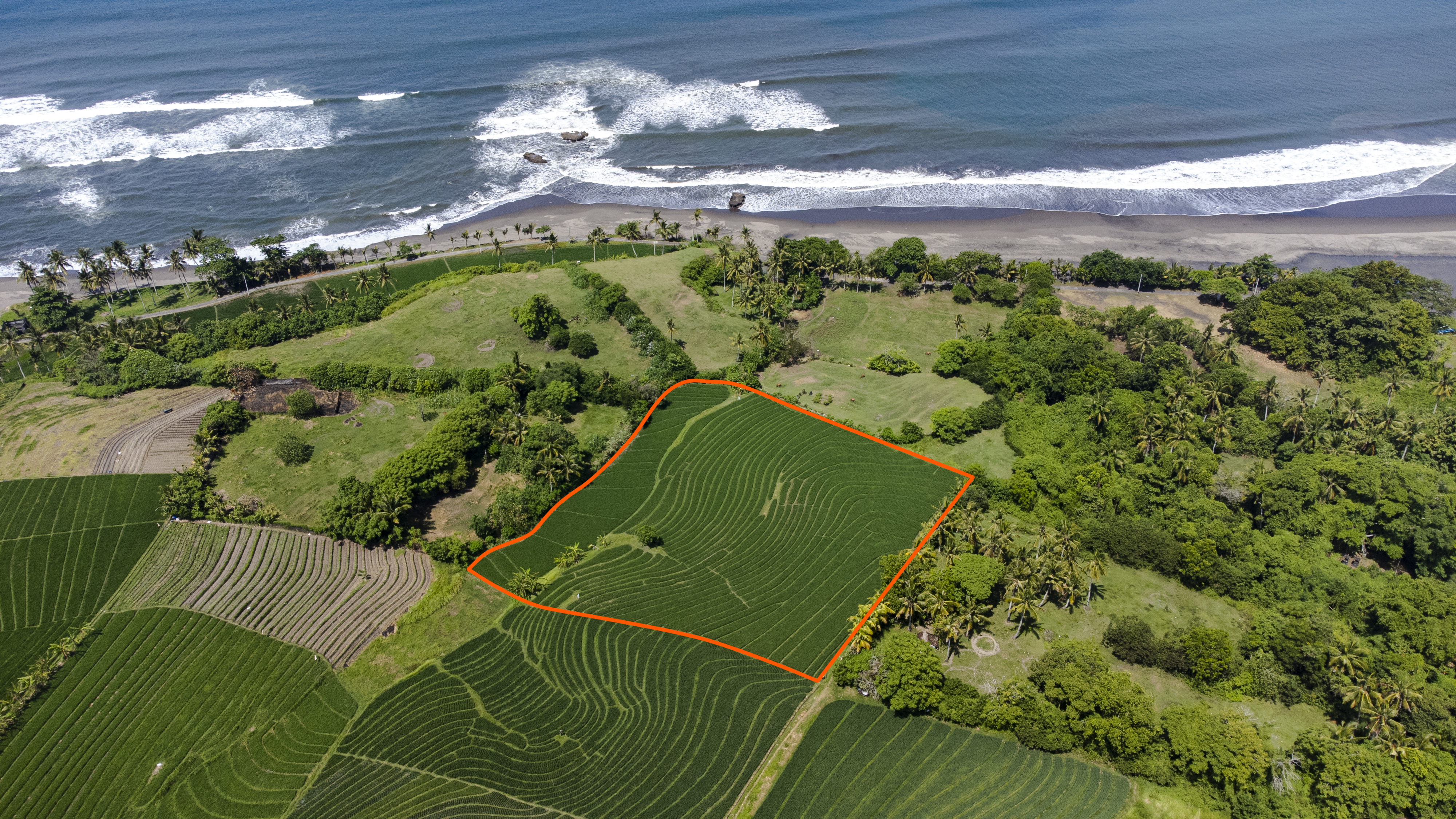 ocean view land in Tabanan