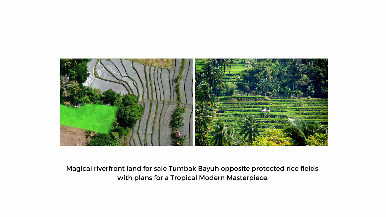 enchanting riverfront land in Tumbak Bayuh, Pererenan