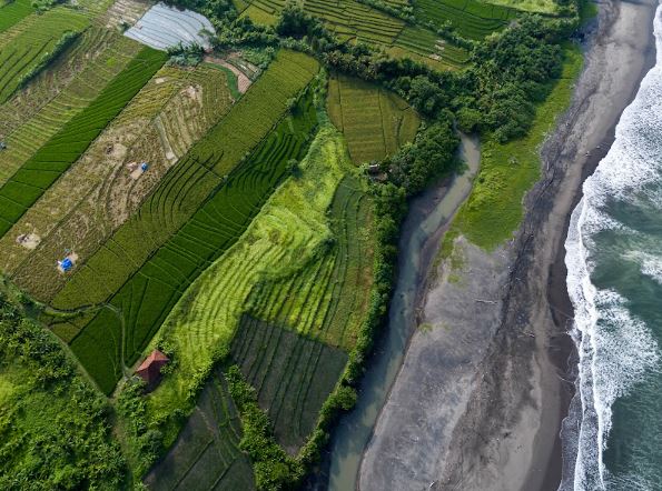 Beachfront Land In Gangga Tabanan