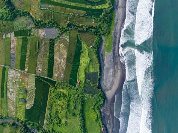 Beachfront Land In Gangga Tabanan