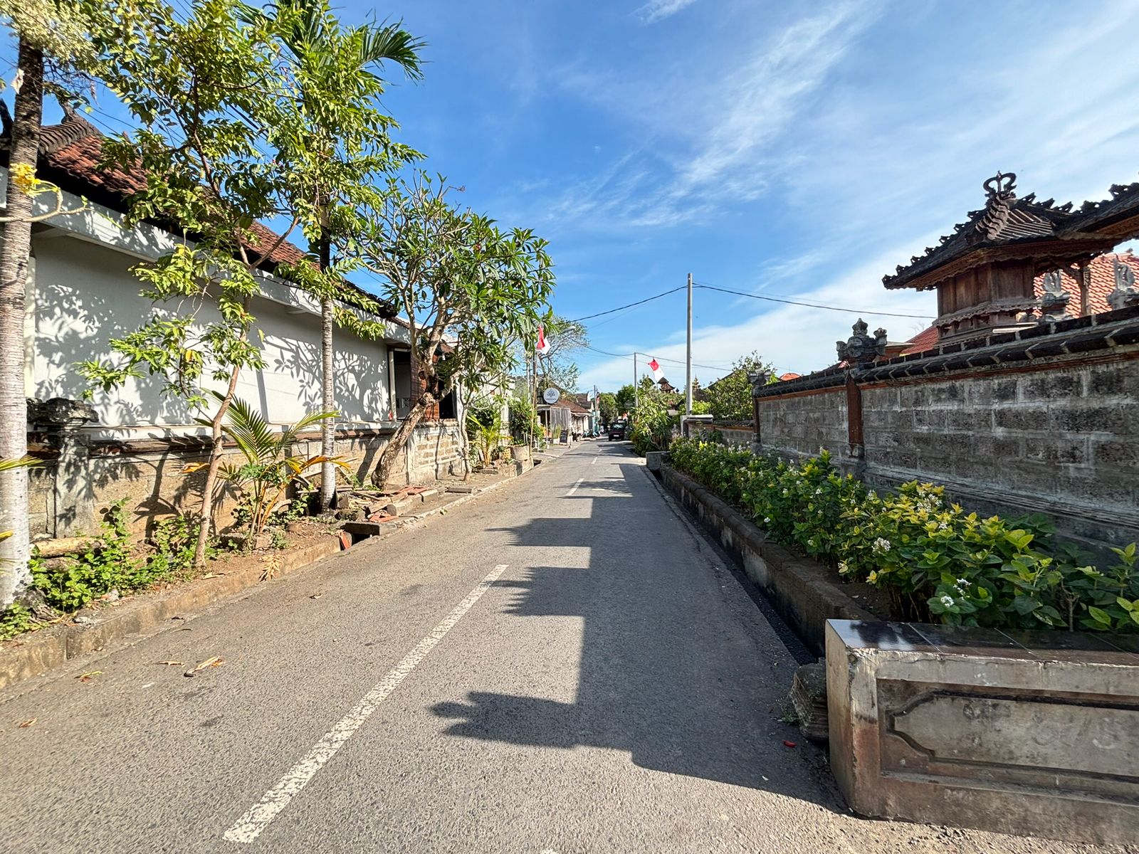 9.1 are of Prime Leasehold land in the heart of Canggu