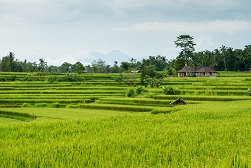 6 Types of Land Zoning in Bali